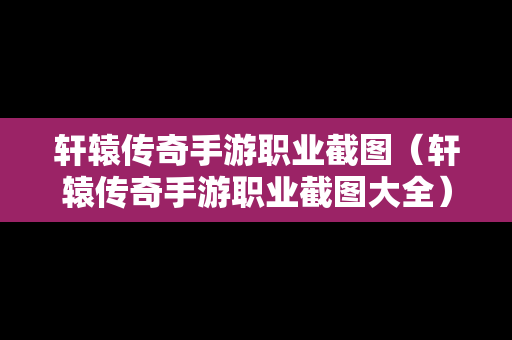 轩辕传奇手游职业截图（轩辕传奇手游职业截图大全）