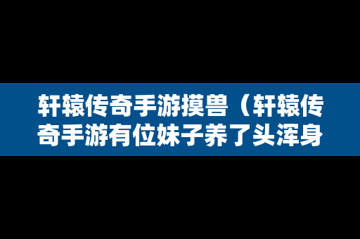 轩辕传奇手游摸兽（轩辕传奇手游有位妹子养了头浑身金黄的狼）