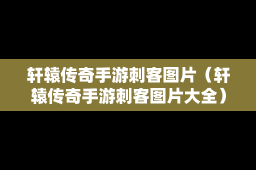 轩辕传奇手游刺客图片（轩辕传奇手游刺客图片大全）